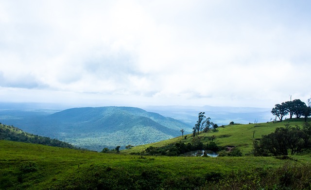 新鵬城足球 新鵬城足球