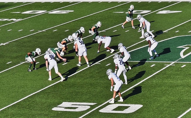 这是荣誉的 这是荣誉的