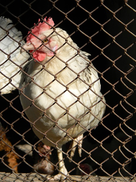 佳的时刻 佳的时刻