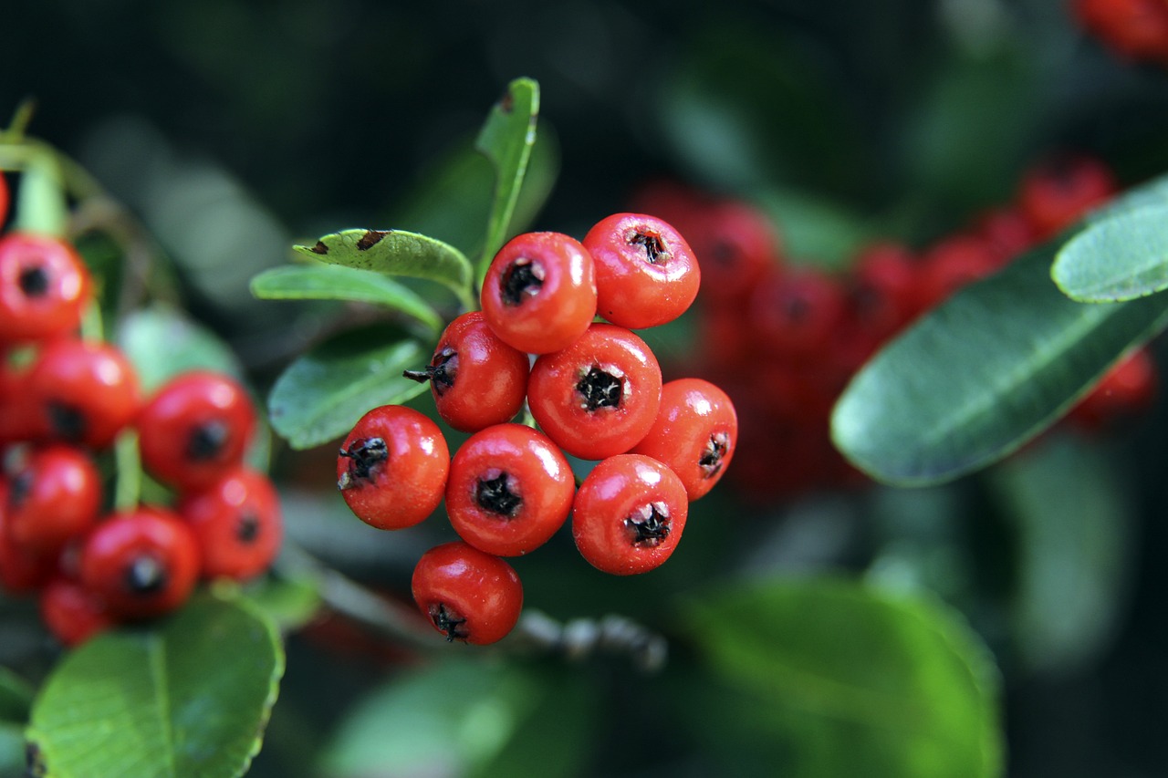 的技术和对 的技术和对