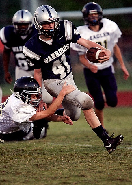 可以看出 可以看出