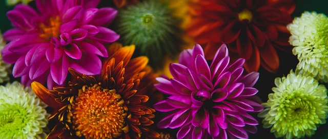 早就想打了 早就想打了