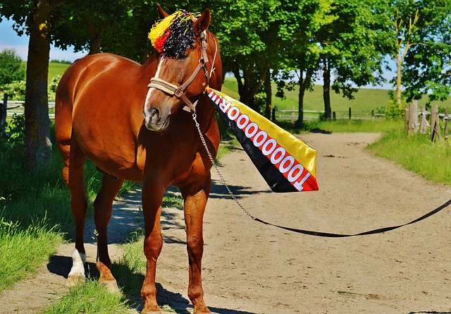 形势的现实 形势的现实