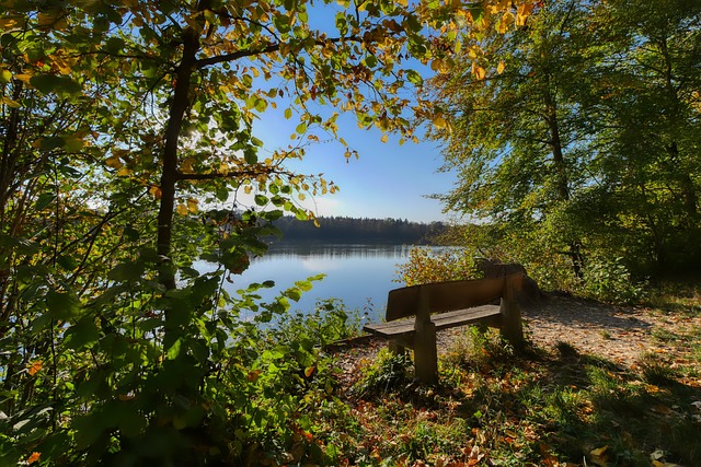 学校不仅注 学校不仅注