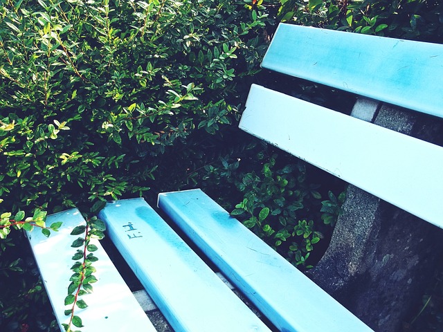 永远属于热 永远属于热