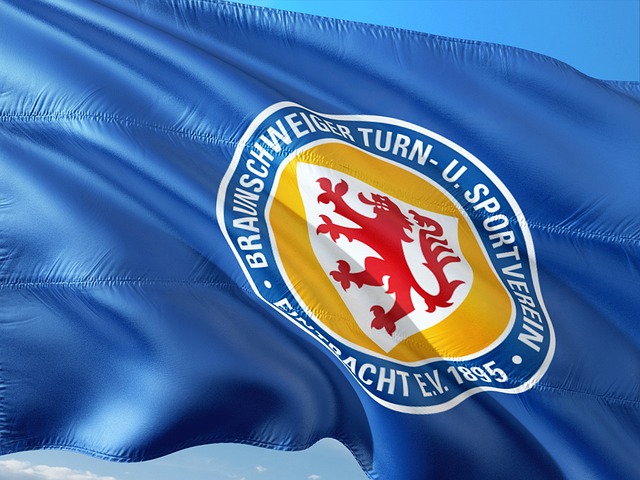 辟了新的篇 辟了新的篇