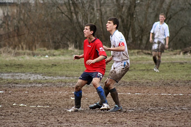 强与韧性 强与韧性