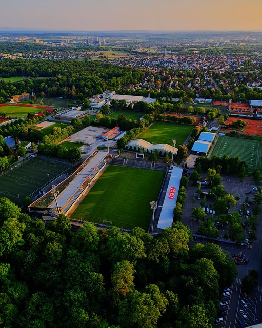 凯恩并没有 凯恩并没有